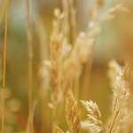 BEWETから世界初の排熱機能を備えた動態補助機能付きコンプレッションスーツ「AEROFLY」が登場