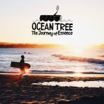 SFJで事務局長を務める、石川拳大がドキュメンタリー映画『OCEANTREE』の第二弾の製作を発表