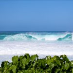 オアフ島ノースショアでは依然として巨大なうねりが続いて3日連続オフ。明日の再開に期待。レクサス・パイプ・チャレンジャー